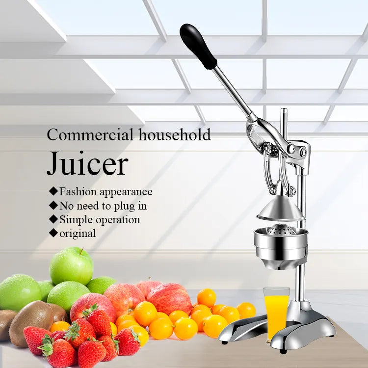 KRD Manual Iron Juice Extractor Stainless steel Body ZW4